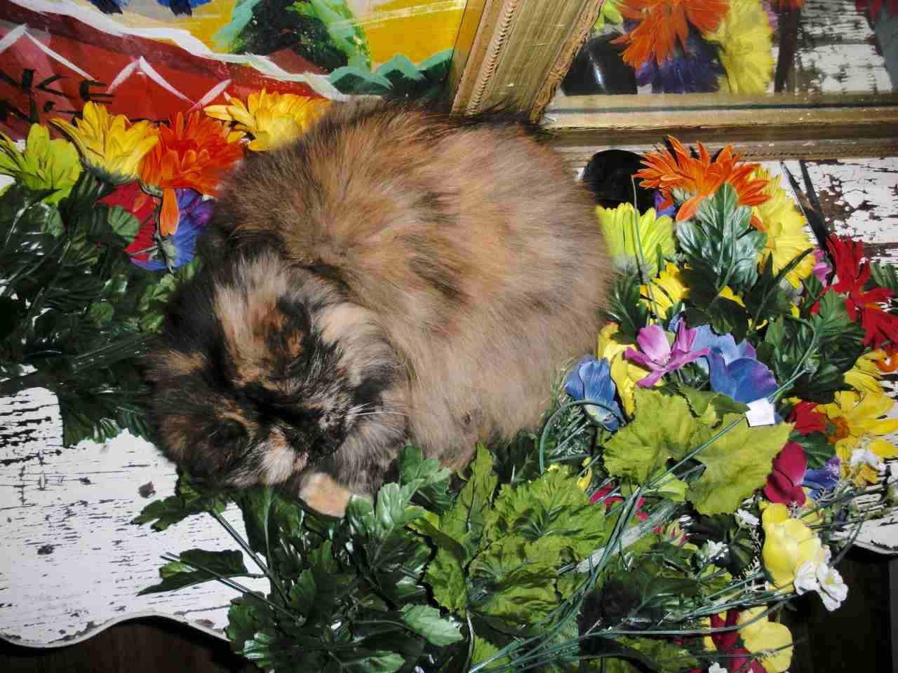 Still Life (With Myra)